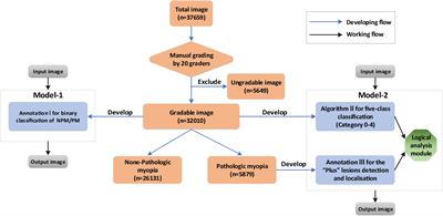 AI-Model for Identifying Pathologic Myopia Based on Deep Learning Algorithms of Myopic Maculopathy Classification and “Plus” Lesion Detection in Fundus Images